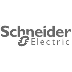 schneider-gris